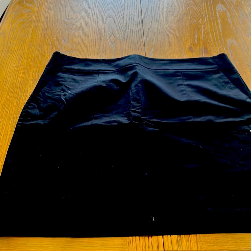 Ann Taylor Pencil Skirt